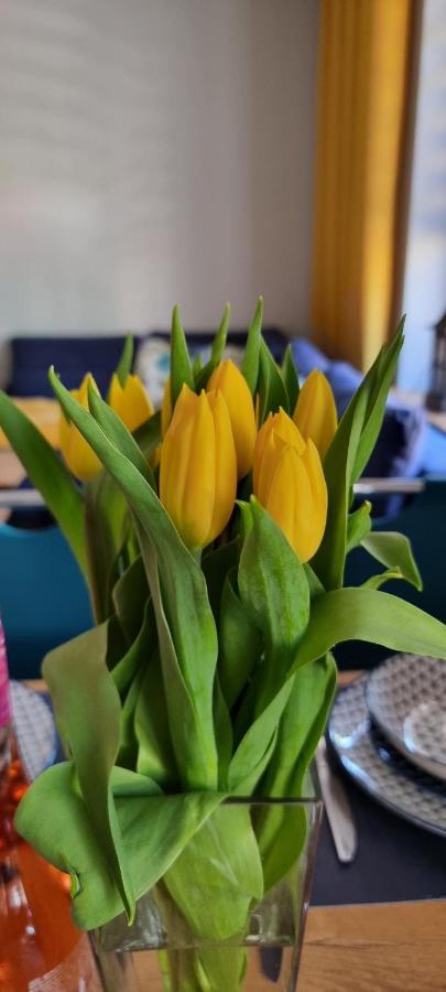 Apartament Apartament Luxloft Piechowice Zewnętrze zdjęcie